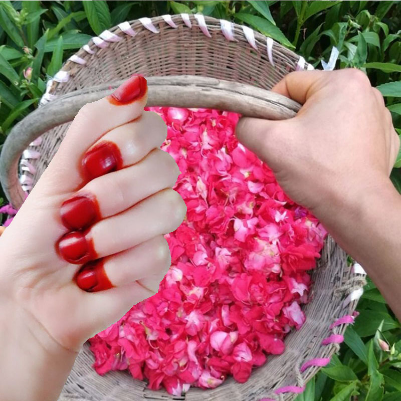 Nail Art Natural - Poudre de teinture pour ongles au