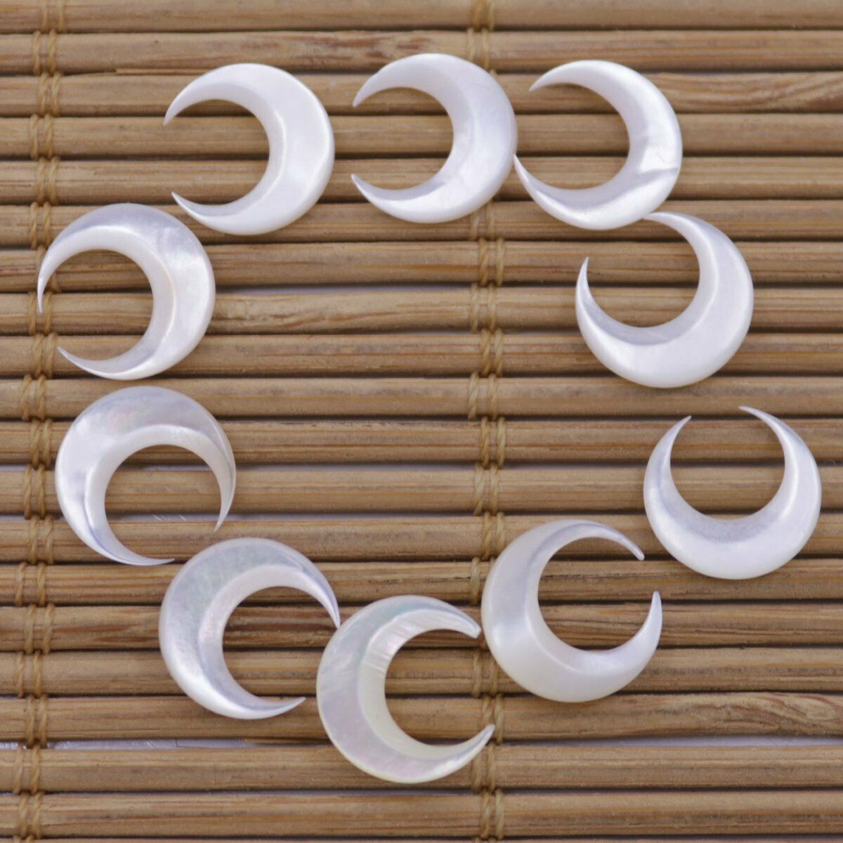 Nail Art Natural - 10 pièces de coquillages naturels blancs